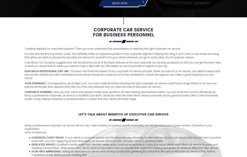 Cata Black Car screenshot 1